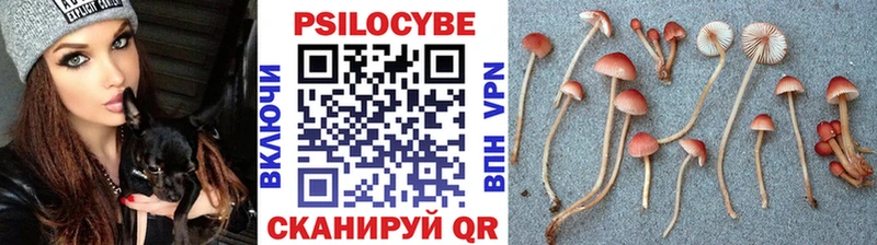 Галлюциногенные грибы GOLDEN TEACHER  купить закладку  Камбарка 